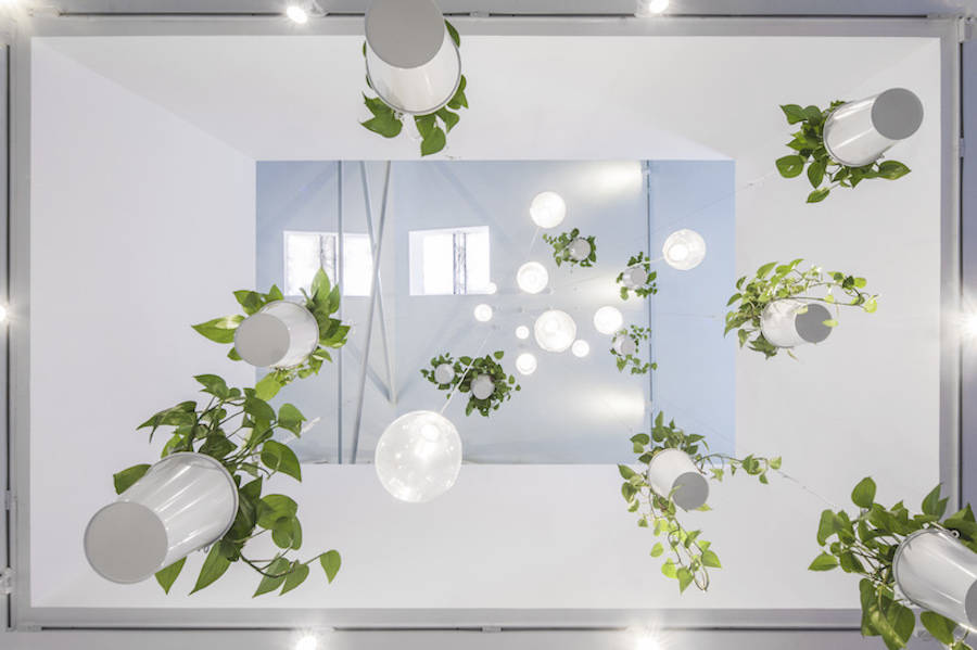 用绿色植物点缀的办公室设计