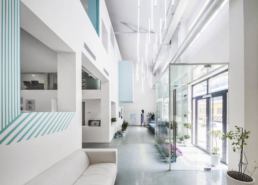 用绿色植物点缀的办公室设计