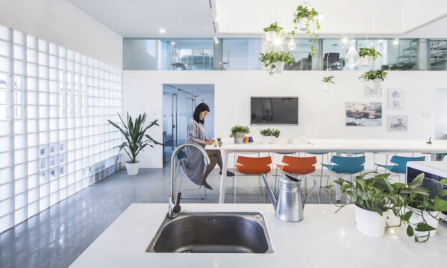 用绿色植物点缀的办公室设计